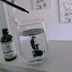 GOTAS DE CLOROFILA - ENVÍO GRATIS 🍃🤩